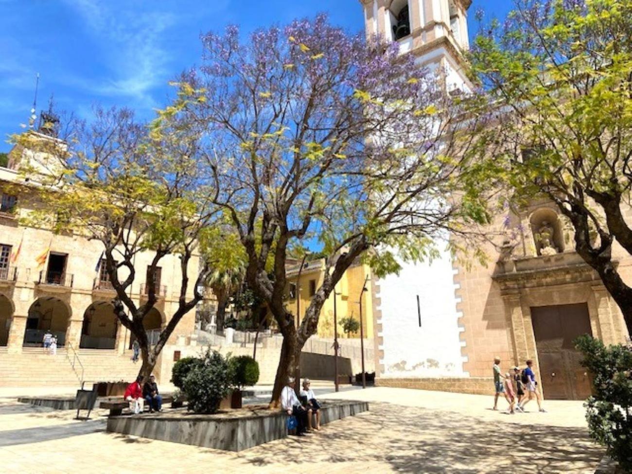 - Vivir La Vida Dénia